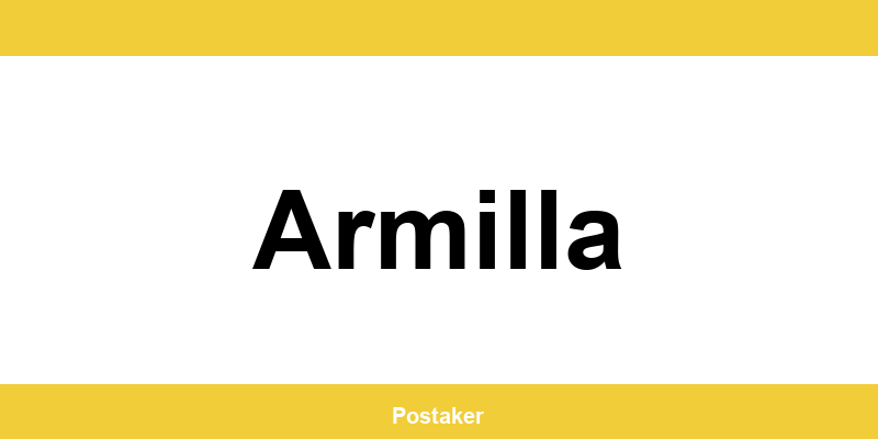 Encuentra el Punto Pack de InPost en Armilla